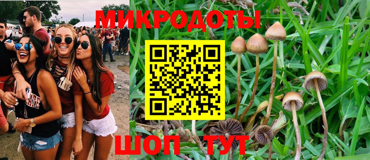 Псилоцибиновые грибы Psilocybe  Вход с VPN  Каменск-Шахтинский  Псилоцибиновые грибы мухоморы 